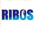 ribos